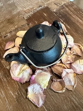 Black Cast Iron Teapot with Handle